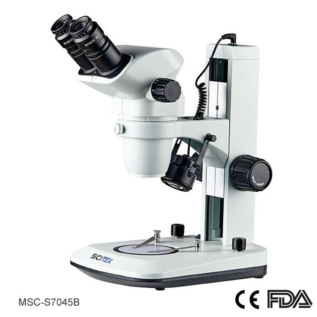 Stereoscopic Microscope - Scitek