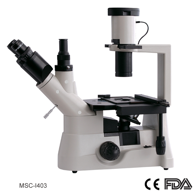 Inverted Microscope, MSCI403 Buy manual inverted microscope